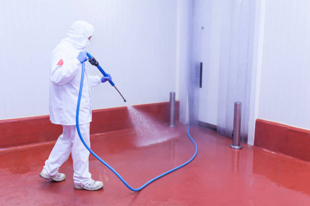 Best Spring Cleaning  in Sullivans Island, SC